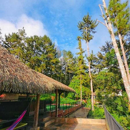La Semilla Ecolodge Cerro Azul Extérieur photo