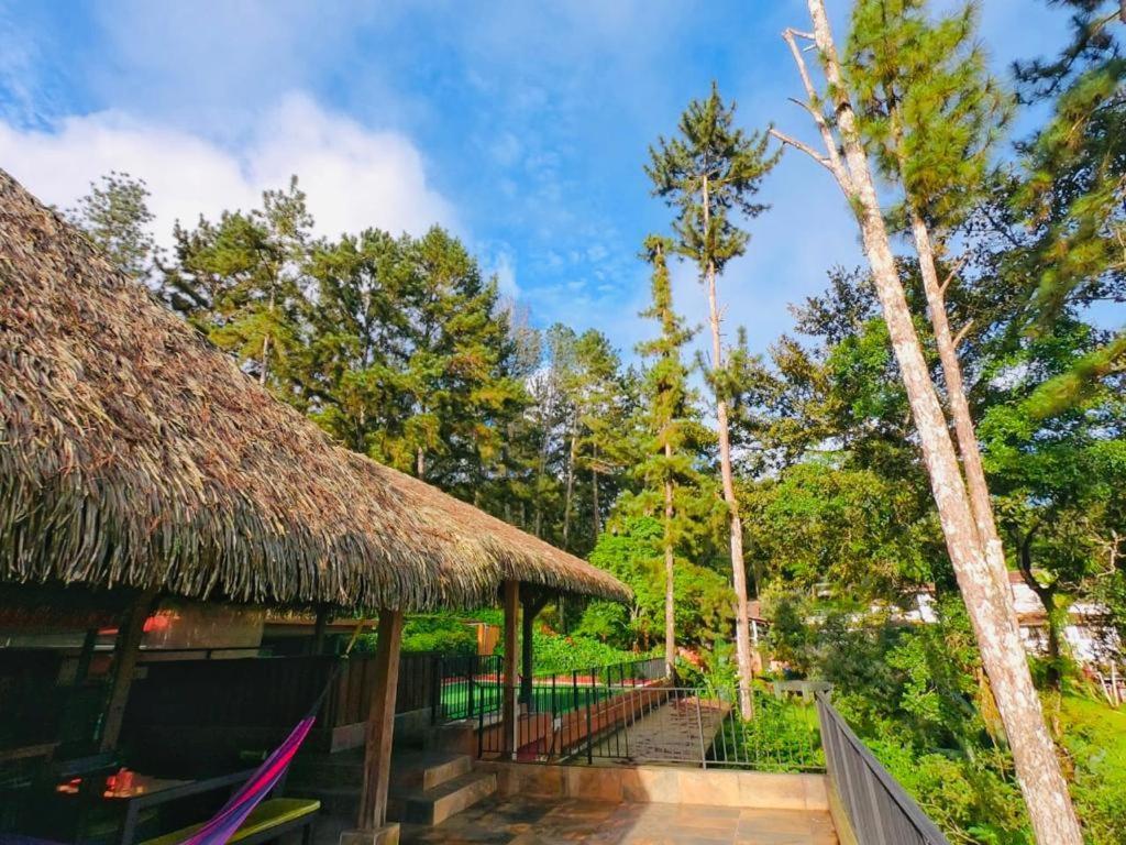 La Semilla Ecolodge Cerro Azul Extérieur photo