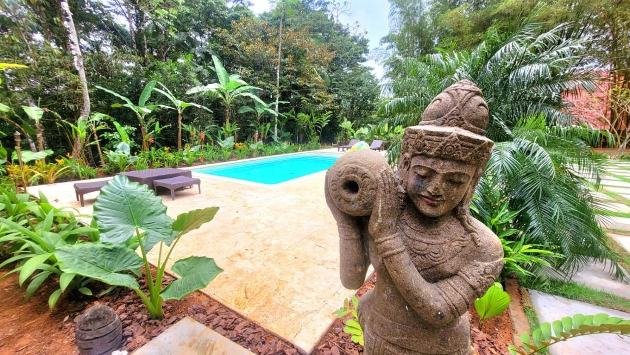 La Semilla Ecolodge Cerro Azul Extérieur photo