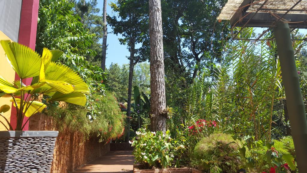 La Semilla Ecolodge Cerro Azul Extérieur photo